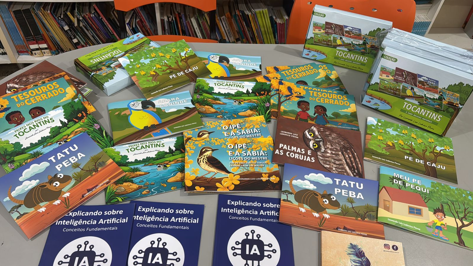 Leia mais sobre o artigo Escola Municipal Darcy Ribeiro promove mostra literária com escritor tocantinense